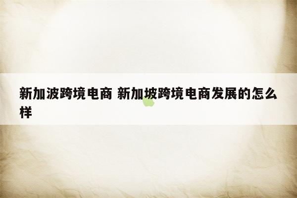 新加波跨境电商 新加坡跨境电商发展的怎么样