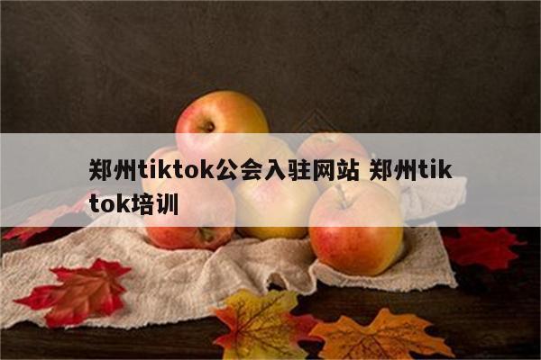 郑州tiktok公会入驻网站 郑州tiktok培训
