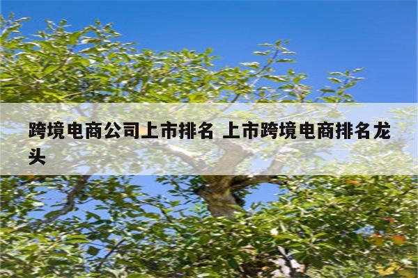 跨境电商公司上市排名 上市跨境电商排名龙头