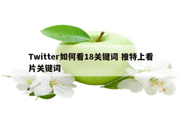 Twitter如何看18关键词 推特上看片关键词