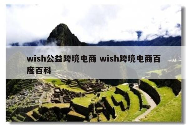 wish公益跨境电商 wish跨境电商百度百科