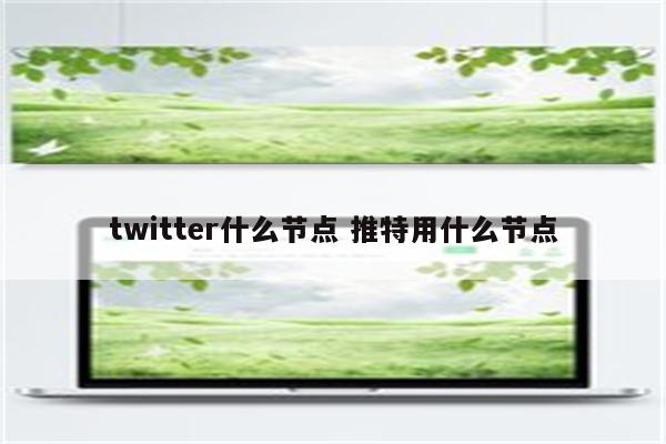 twitter什么节点 推特用什么节点