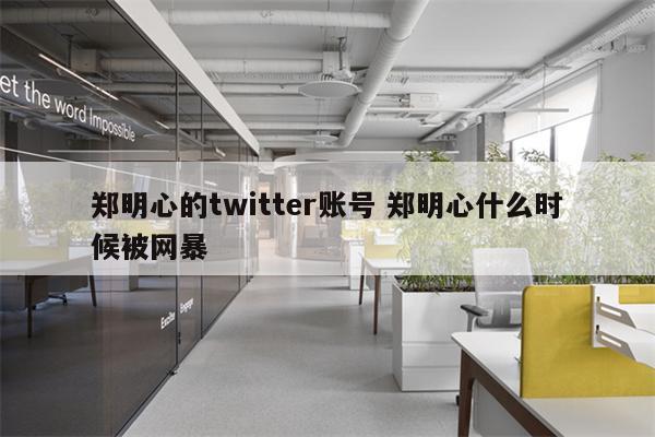 郑明心的twitter账号 郑明心什么时候被网暴