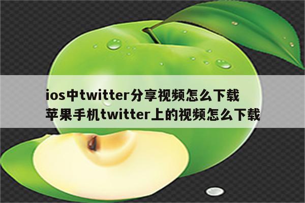 ios中twitter分享视频怎么下载 苹果手机twitter上的视频怎么下载
