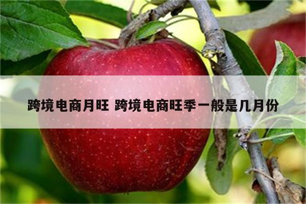 跨境电商月旺 跨境电商旺季一般是几月份