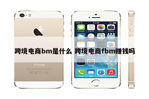 跨境电商bm是什么 跨境电商fbm赚钱吗