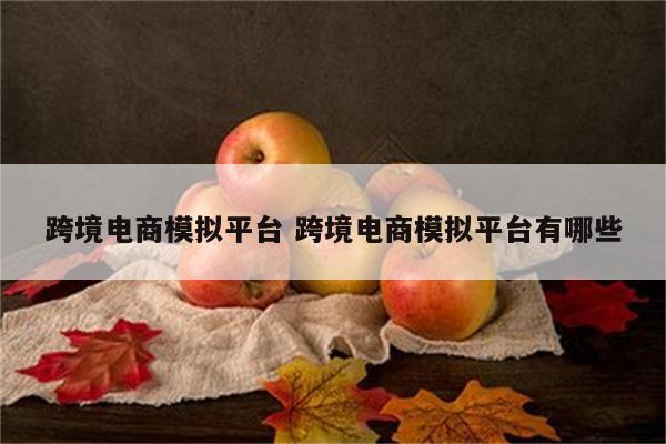 跨境电商模拟平台 跨境电商模拟平台有哪些