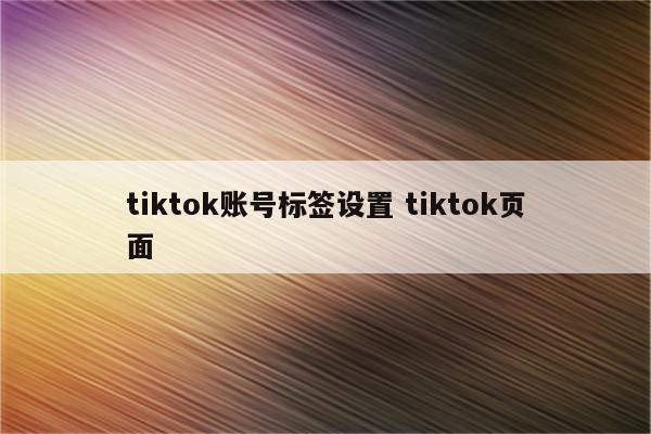 tiktok账号标签设置 tiktok页面