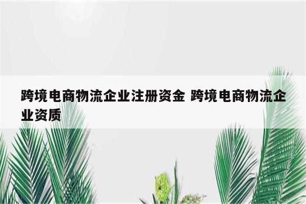 跨境电商物流企业注册资金 跨境电商物流企业资质