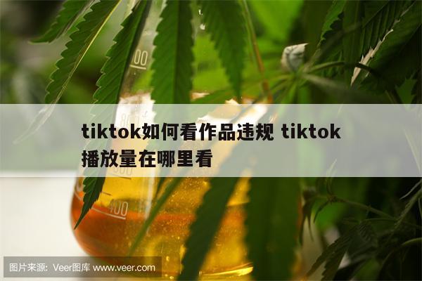 tiktok如何看作品违规 tiktok播放量在哪里看