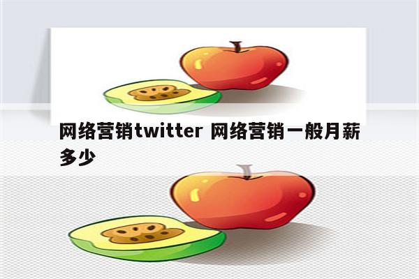 网络营销twitter 网络营销一般月薪多少