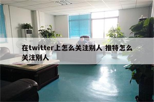 在twitter上怎么关注别人 推特怎么关注别人