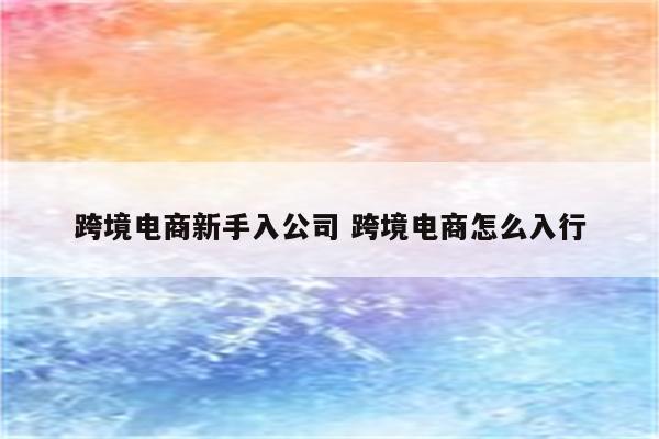 跨境电商新手入公司 跨境电商怎么入行
