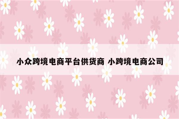 小众跨境电商平台供货商 小跨境电商公司