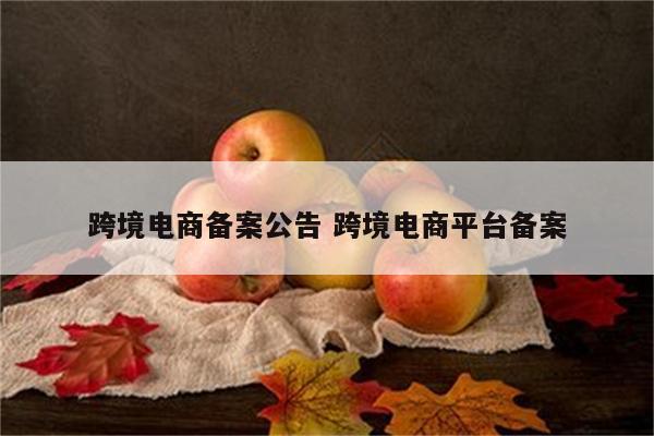 跨境电商备案公告 跨境电商平台备案