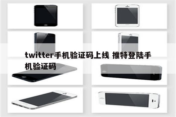 twitter手机验证码上线 推特登陆手机验证码