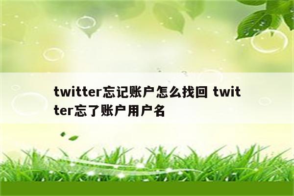 twitter忘记账户怎么找回 twitter忘了账户用户名