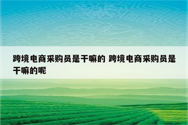 跨境电商采购员是干嘛的 跨境电商采购员是干嘛的呢