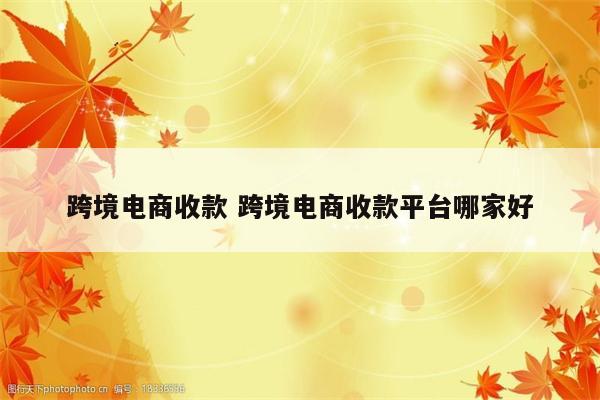 跨境电商收款 跨境电商收款平台哪家好
