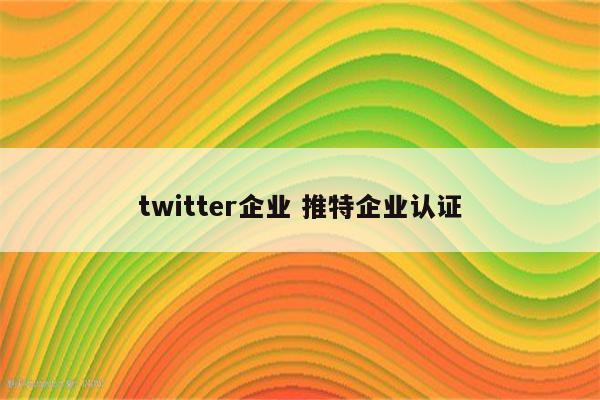 twitter企业 推特企业认证