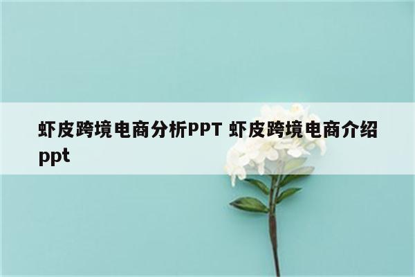 虾皮跨境电商分析PPT 虾皮跨境电商介绍ppt