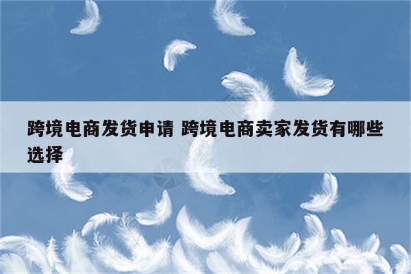 跨境电商发货申请 跨境电商卖家发货有哪些选择