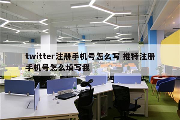 twitter注册手机号怎么写 推特注册手机号怎么填写我