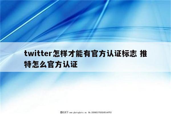 twitter怎样才能有官方认证标志 推特怎么官方认证