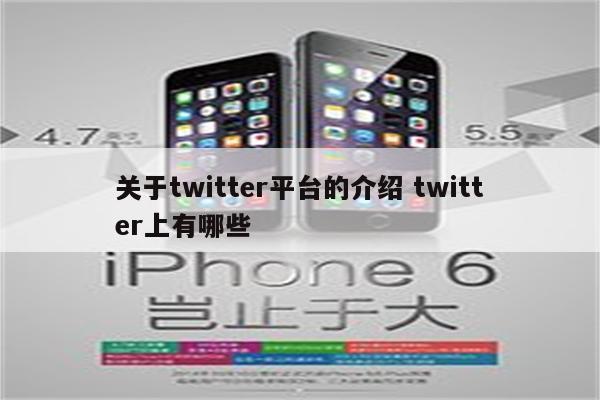 关于twitter平台的介绍 twitter上有哪些