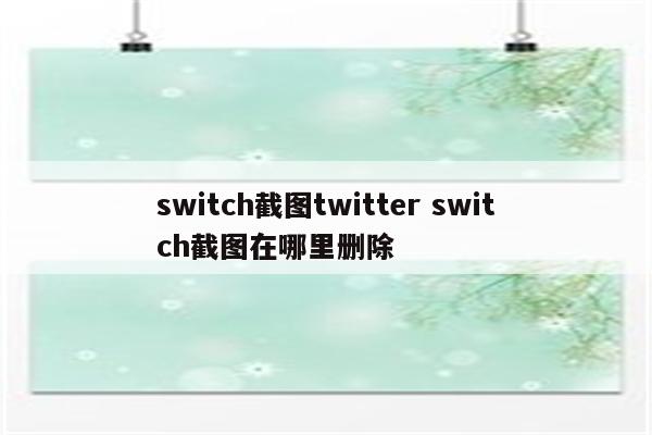 switch截图twitter switch截图在哪里删除