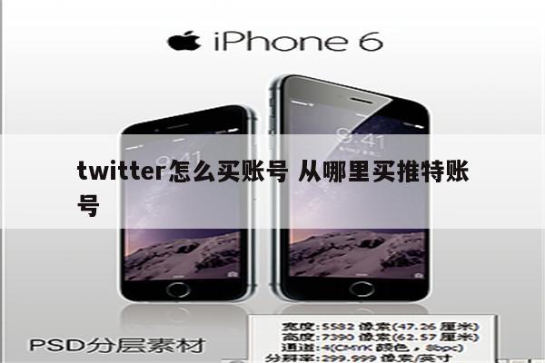twitter怎么买账号 从哪里买推特账号