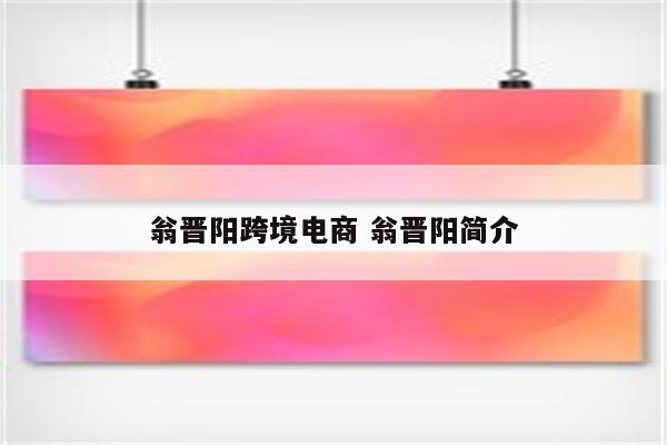 翁晋阳跨境电商 翁晋阳简介