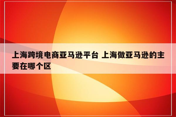 上海跨境电商亚马逊平台 上海做亚马逊的主要在哪个区