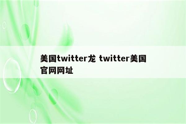 美国twitter龙 twitter美国官网网址