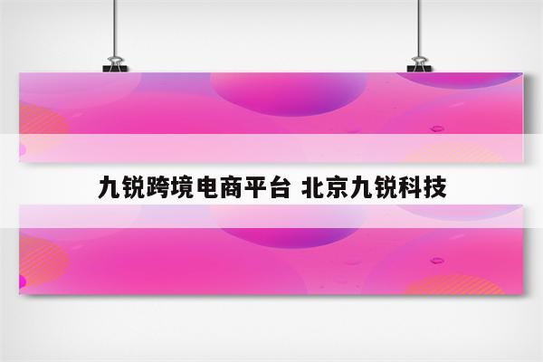 九锐跨境电商平台 北京九锐科技