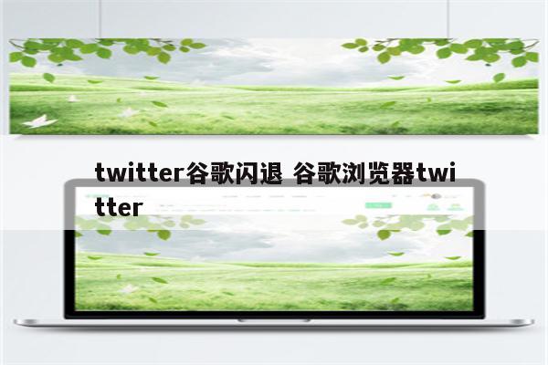 twitter谷歌闪退 谷歌浏览器twitter