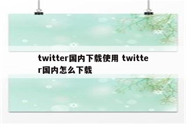 twitter国内下载使用 twitter国内怎么下载