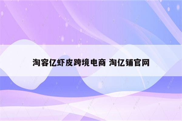淘容亿虾皮跨境电商 淘亿铺官网