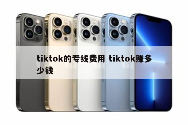 tiktok的专线费用 tiktok赚多少钱