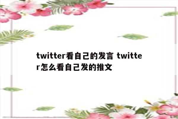 twitter看自己的发言 twitter怎么看自己发的推文