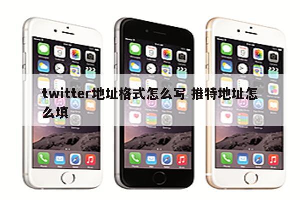 twitter地址格式怎么写 推特地址怎么填