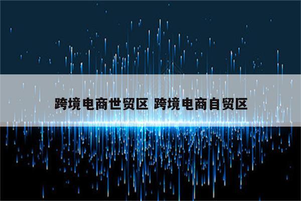 跨境电商世贸区 跨境电商自贸区