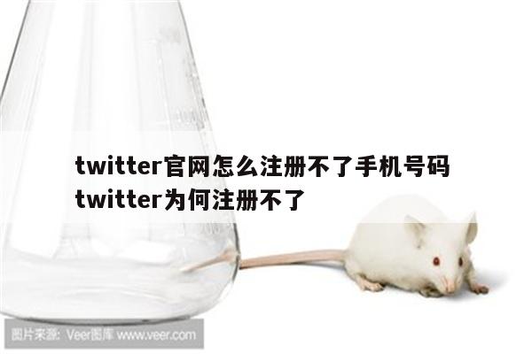 twitter官网怎么注册不了手机号码 twitter为何注册不了