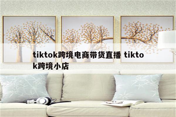 tiktok跨境电商带货直播 tiktok跨境小店