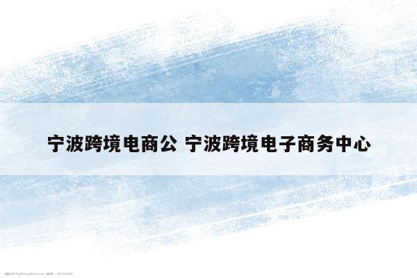 宁波跨境电商公 宁波跨境电子商务中心