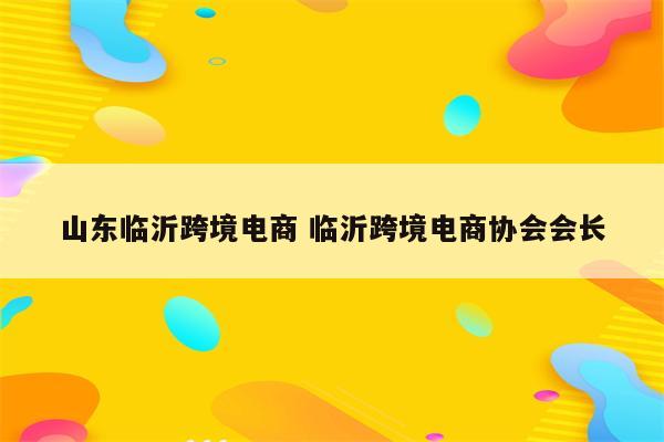 山东临沂跨境电商 临沂跨境电商协会会长
