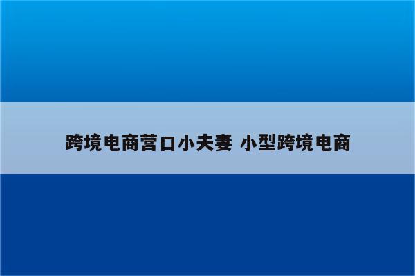 跨境电商营口小夫妻 小型跨境电商