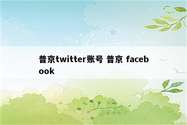 普京twitter账号 普京 facebook