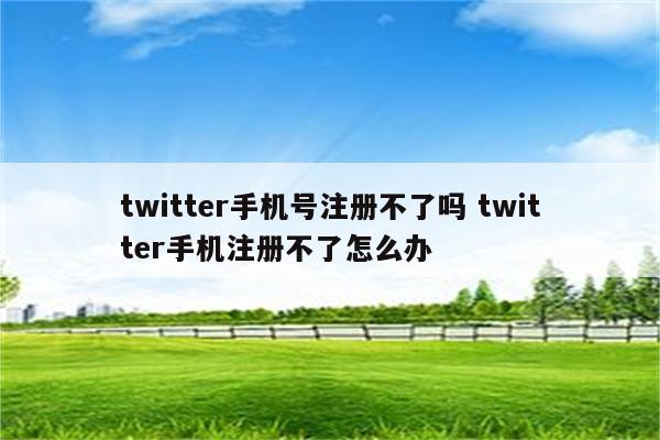 twitter手机号注册不了吗 twitter手机注册不了怎么办