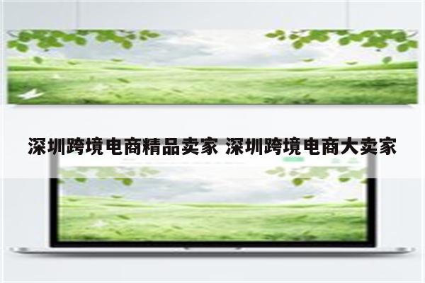 深圳跨境电商精品卖家 深圳跨境电商大卖家